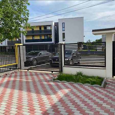 Cozy Apartament With 2Rooms تيميشورا المظهر الخارجي الصورة