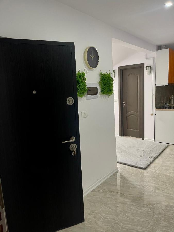 Cozy Apartament With 2Rooms تيميشورا المظهر الخارجي الصورة