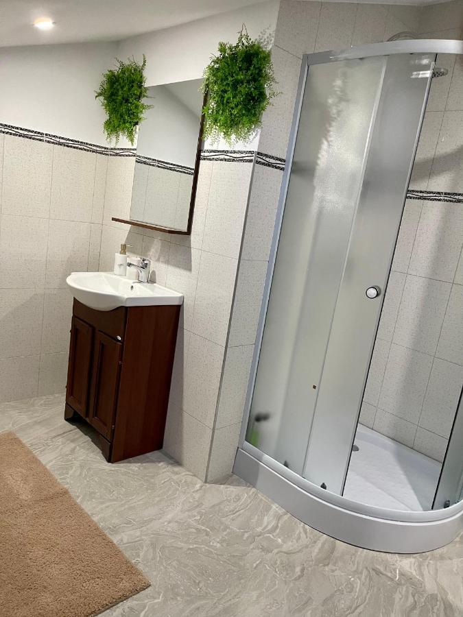 Cozy Apartament With 2Rooms تيميشورا المظهر الخارجي الصورة